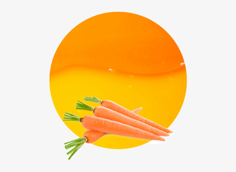 Carrot Juice Concentrate Is Typically Used As Part - Vegetables Images Per Piece, transparent png download