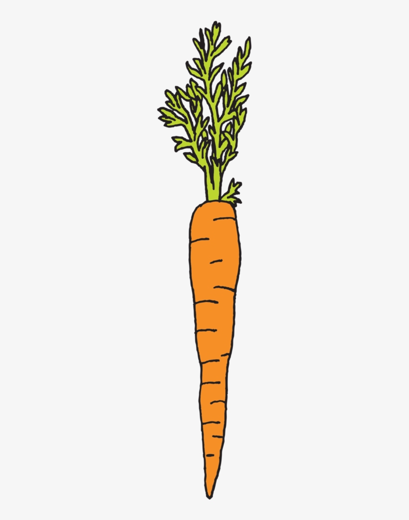 Julia Rothman Carrot, transparent png download