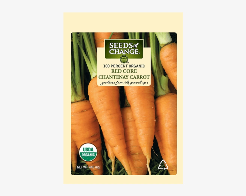 Organic Red Core Chantenay Orange Carrot Seeds - Carrot Red Core Chantenay Seed, transparent png download