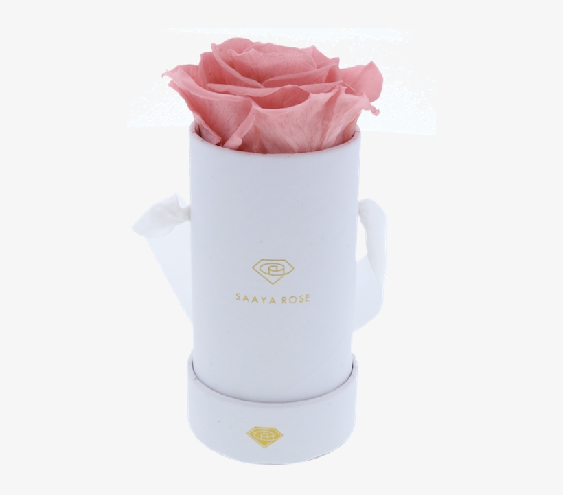 Single Round Rose Box - Box, transparent png download