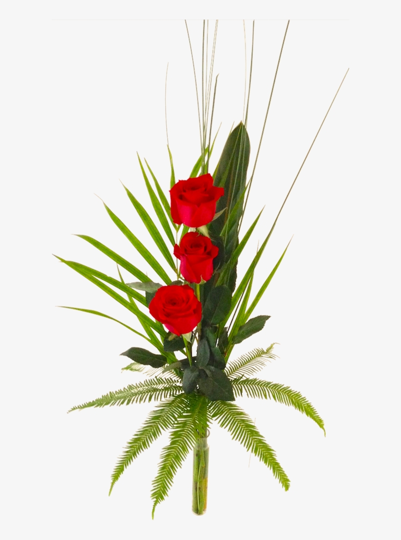 Long-stemmed Single Rose - Garden Roses, transparent png download