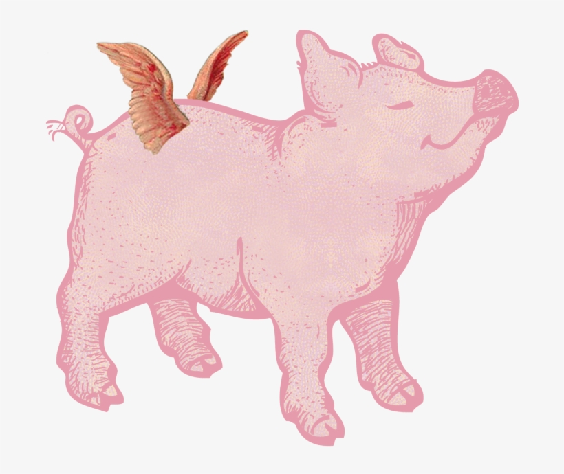Posts About Pig Written By Gunnvor Karita - Pig With Wings Png, transparent png download