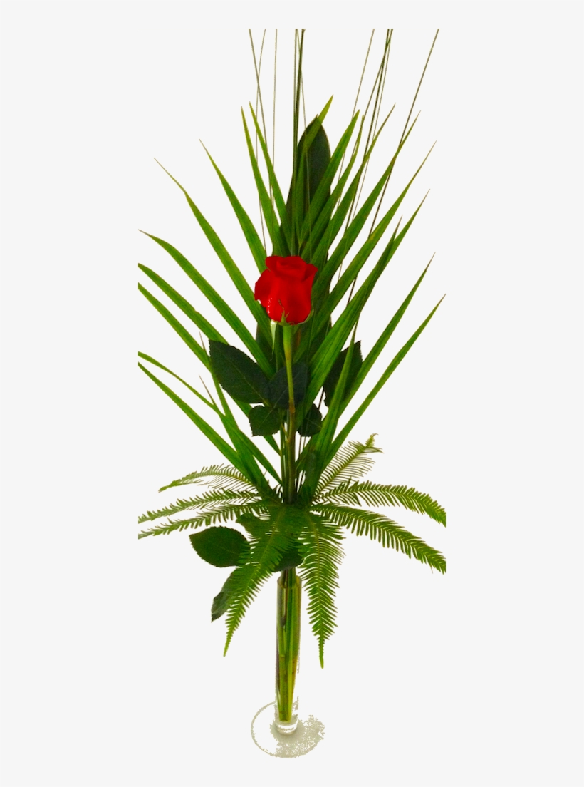 Long-stemmed Single Rose - Crown Of Thorns, transparent png download