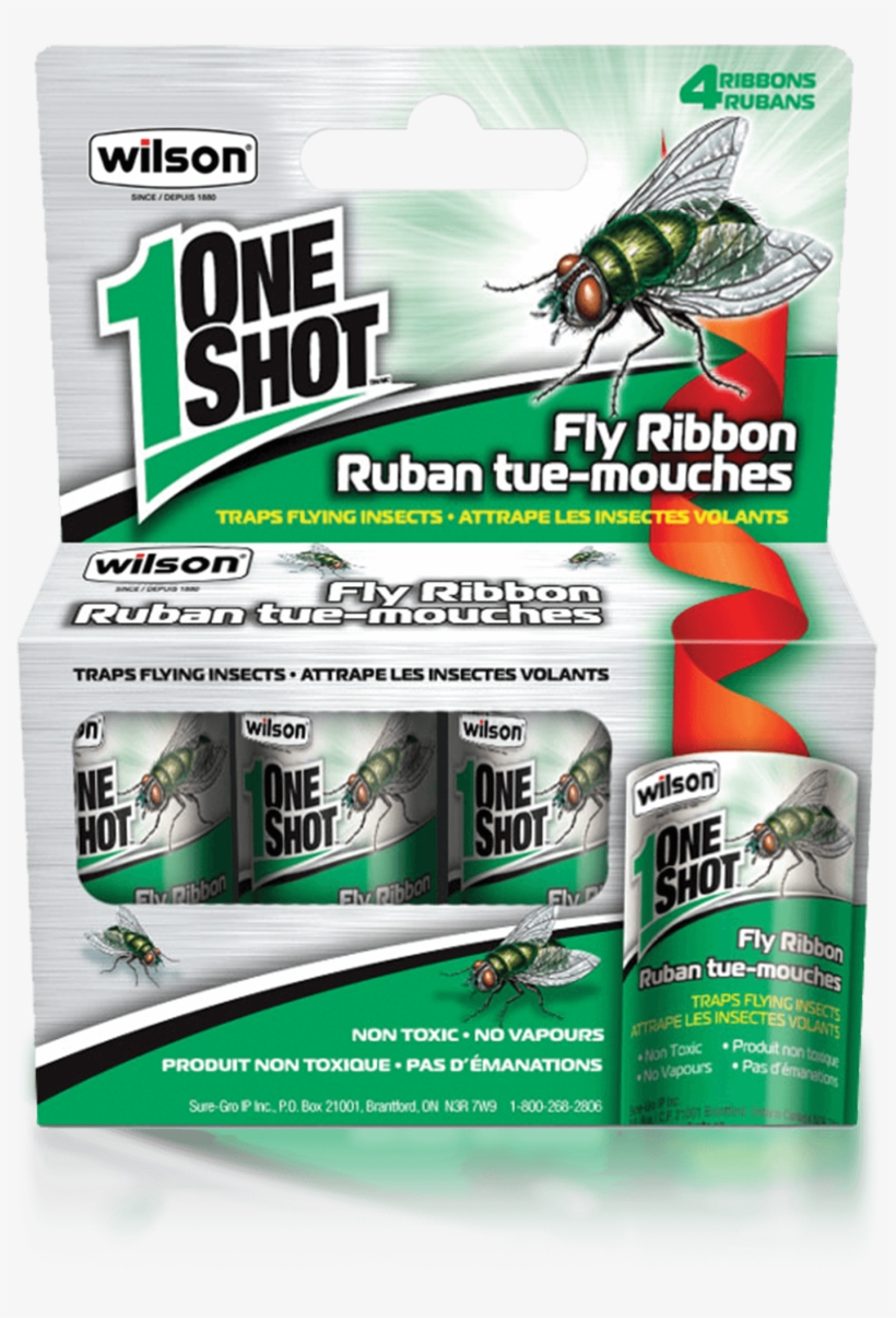 Rat, transparent png download