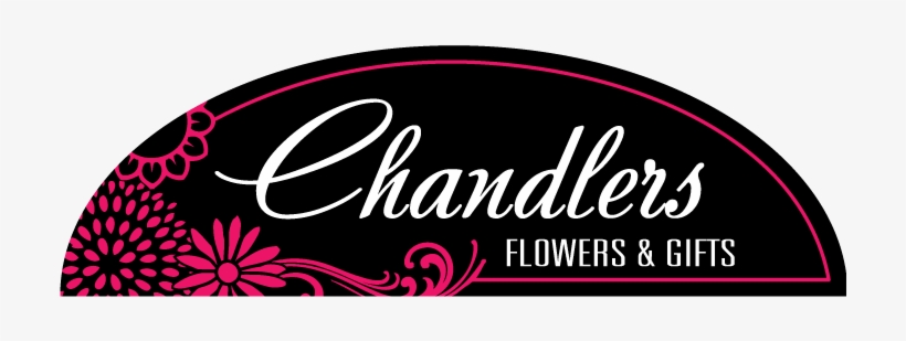 Store Logo Store Logo, transparent png download