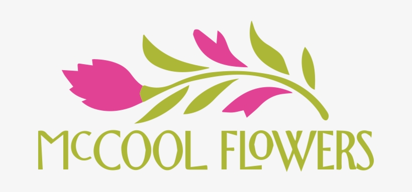 Laguna Niguel, Ca Florist - Mc Cool Flowers, transparent png download