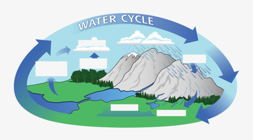 Svg Free Download Tutorial The Here First Picture - Hydrological Cycle, transparent png download