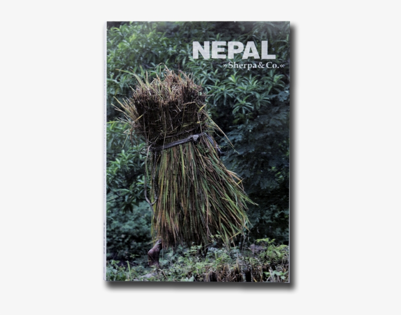 Ramji Sharma Liked This - Grass, transparent png download