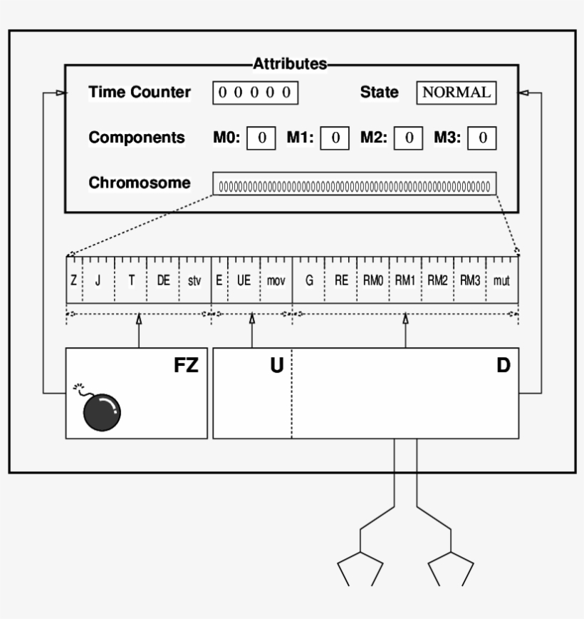 Structure Of Each Individual In Siva - Diagram, transparent png download