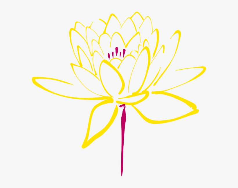How To Set Use Pink Yellow Lotus Clipart, transparent png download