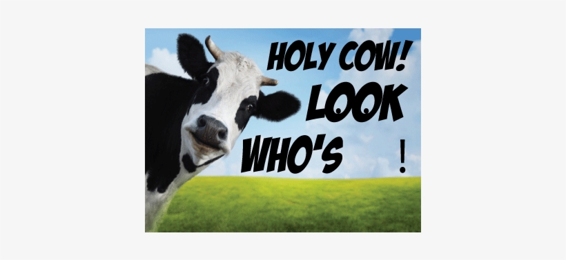 Error Message - Cute Animal Journal #23 By Cute Animal 9781494997243, transparent png download