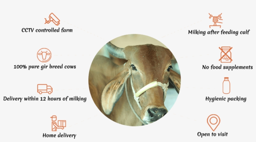 Kapilamrut Farm Pune - Pune, transparent png download