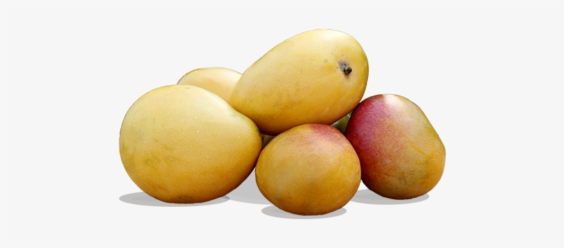 Quality, transparent png download