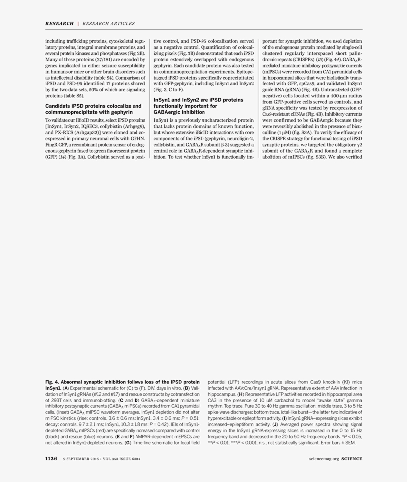 Help - - Centro De Ensino Superior De Juiz De Fora, transparent png download