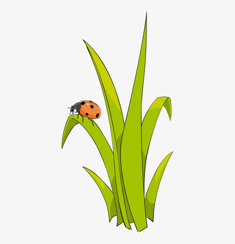 Grass Clip Art Free Clipart Images - Un Brin D Herbe, transparent png download