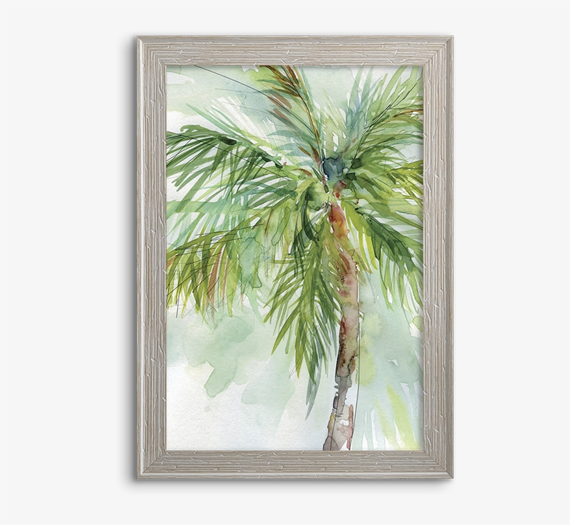 Coconut Palm - Palm Trees, transparent png download