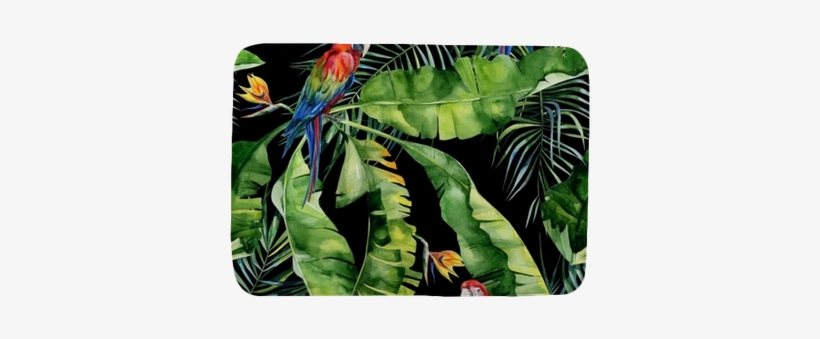 Strelitzia Reginae Flower - Obrazy Na Płótnie Tropical Papugi, transparent png download