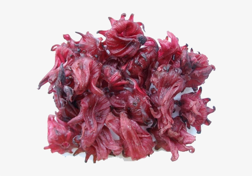 Hibiscus, Known As “sour Tea” , A Delicious And Refreshing - Hibiscus Flower Dry Png, transparent png download