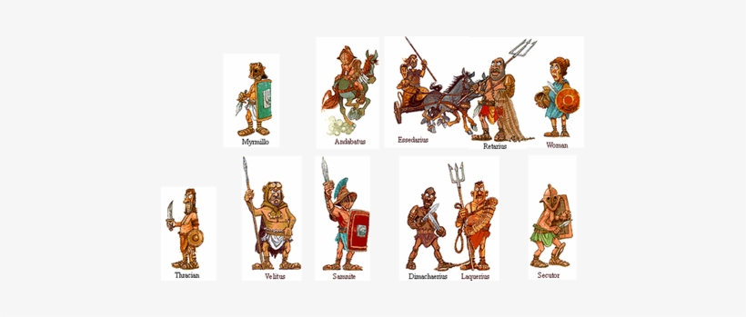 Picture - Types Of Gladiator, transparent png download