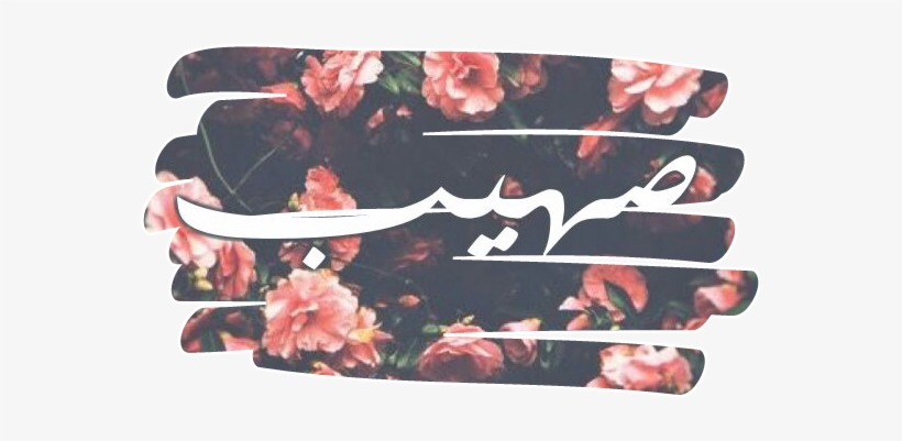 Name, transparent png download