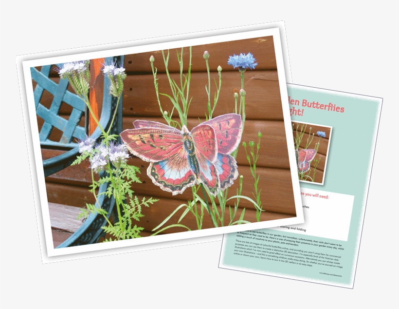 Garden 3d Butterfly Garden 3d Butterfly - Vintage Butterfly Oval Car Magnet, transparent png download