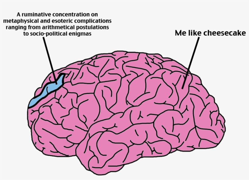 Brain, transparent png download