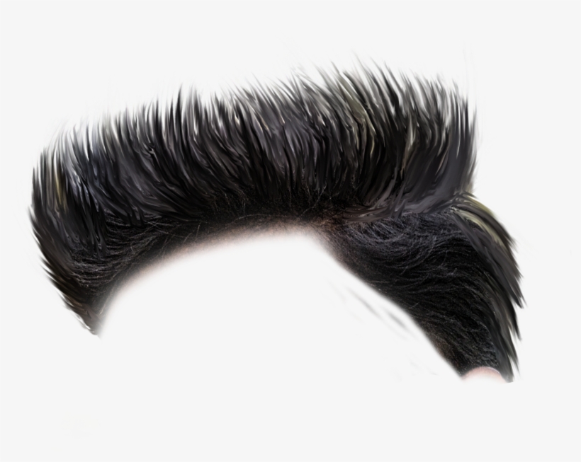 Hair Png, transparent png download