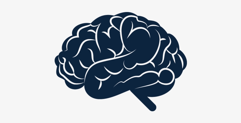 57 Am 8879 Dog 5/11/2017 - Cauliflower, transparent png download