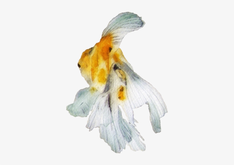 Yellow Fish - Goldfish, transparent png download