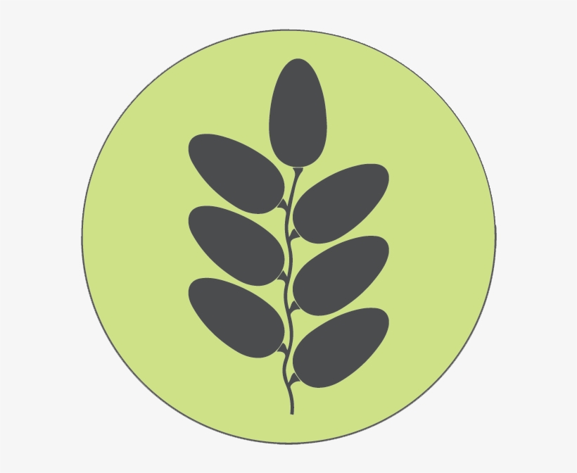 Distinguished Producers In Date Palm Sector - Wheat, transparent png download