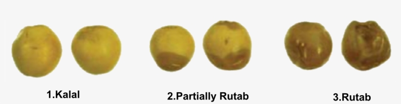 The Color Of The Fruits Will First Change From Yellow - Passion Fruit, transparent png download