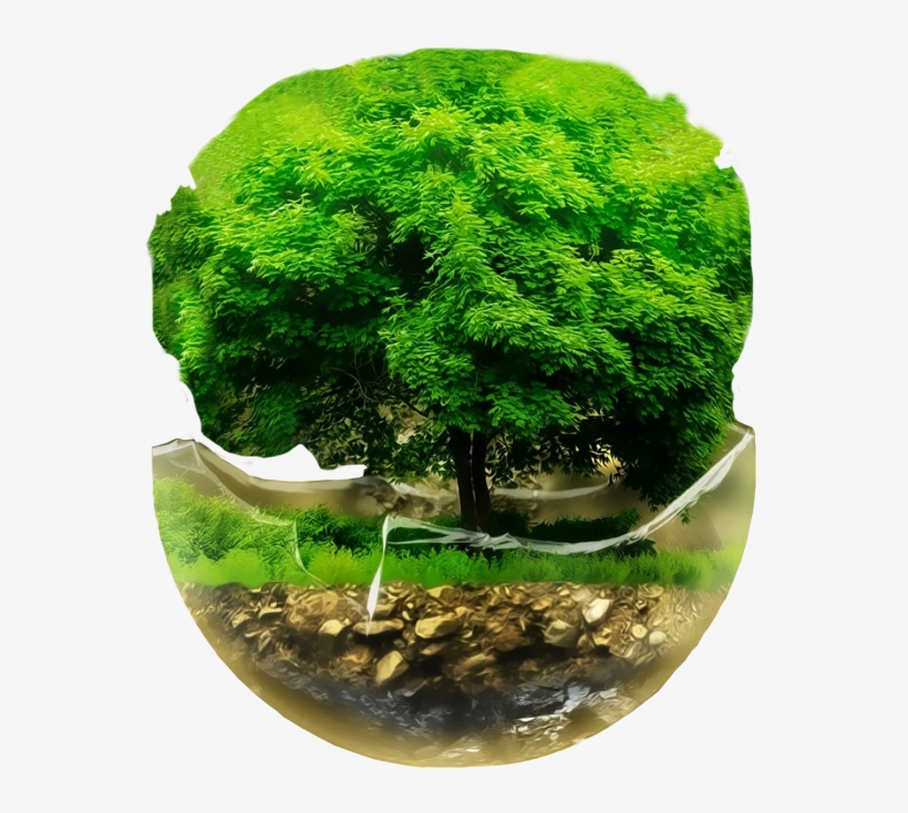 About Us - Long Slogan On Save The Environment In English, transparent png download