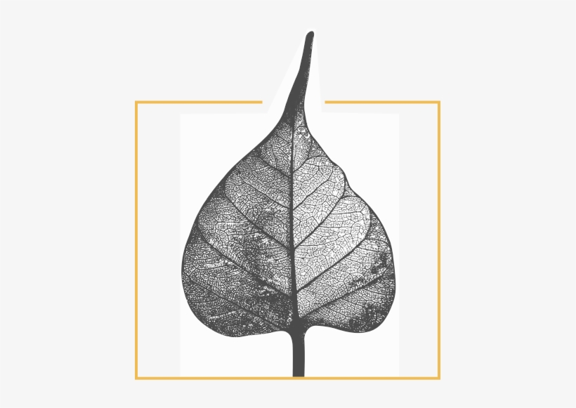 Illustration, transparent png download