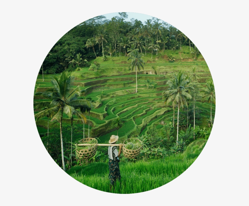 Instead Of Building From Scratch And Duplicating Resources, - Ubud, transparent png download