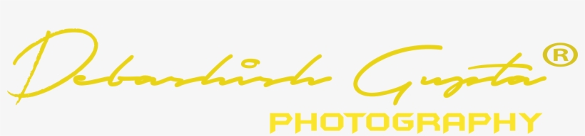 Dg Photography - 2018, transparent png download