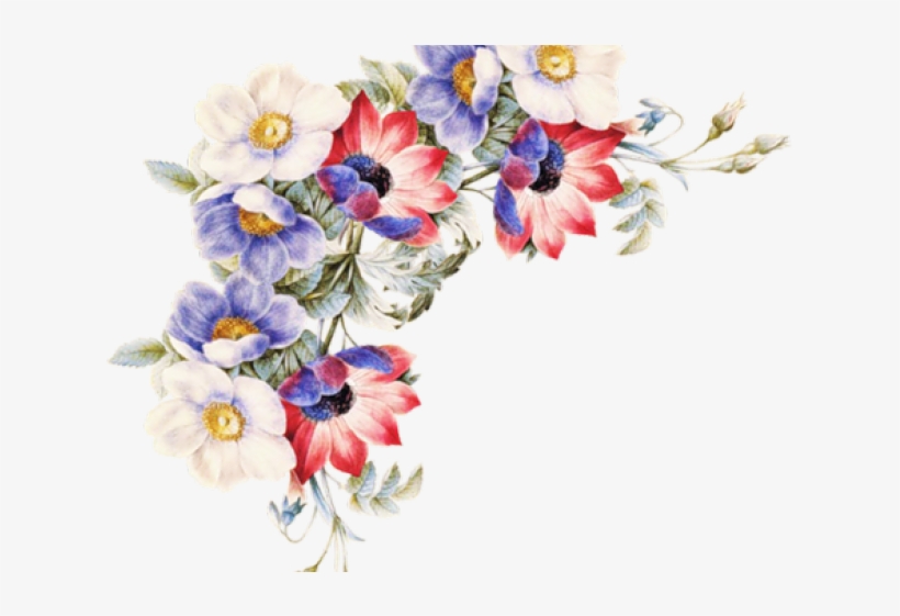 Women Of Flowers [book], transparent png download