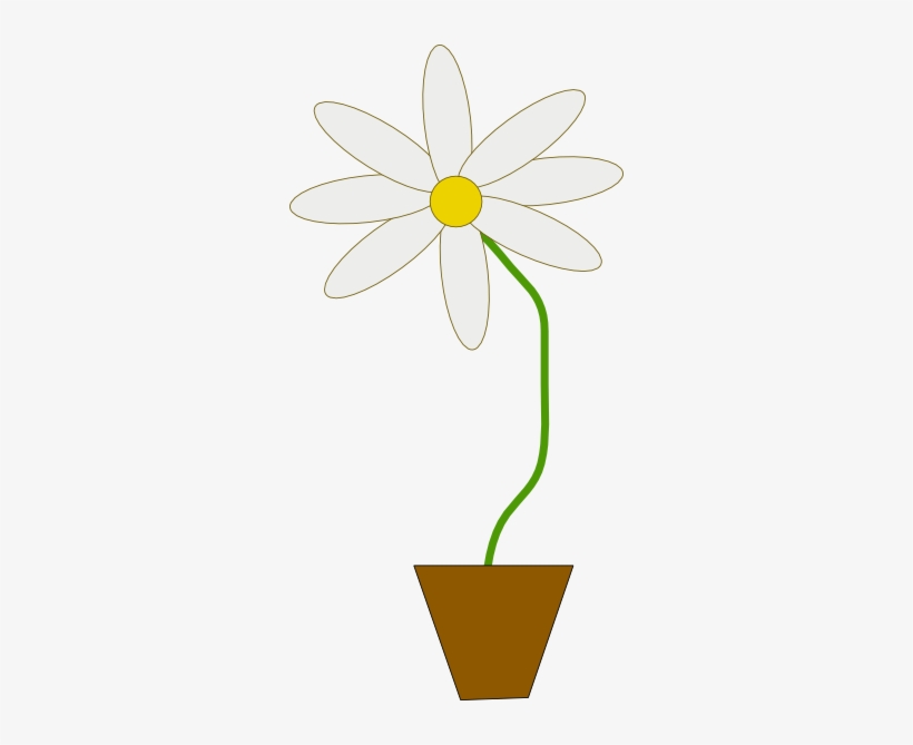 Flower In A Pot Clip Art - Flower In A Pot, transparent png download