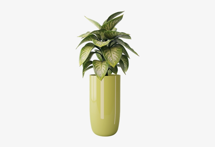 Stanley Plant Transparent - Flowerpot, transparent png download