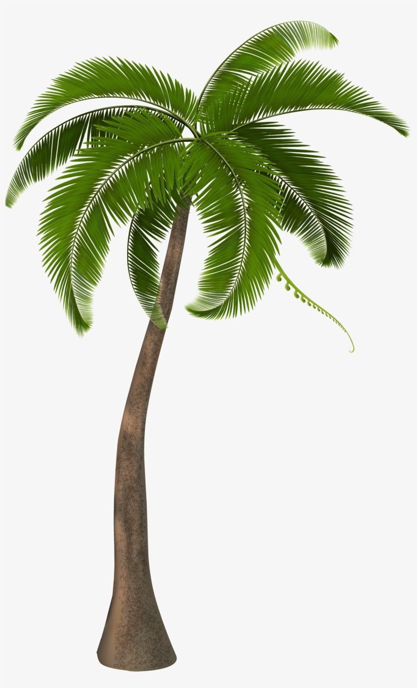Beautiful Palm Tree Clipart - Ghetto Wave, transparent png download