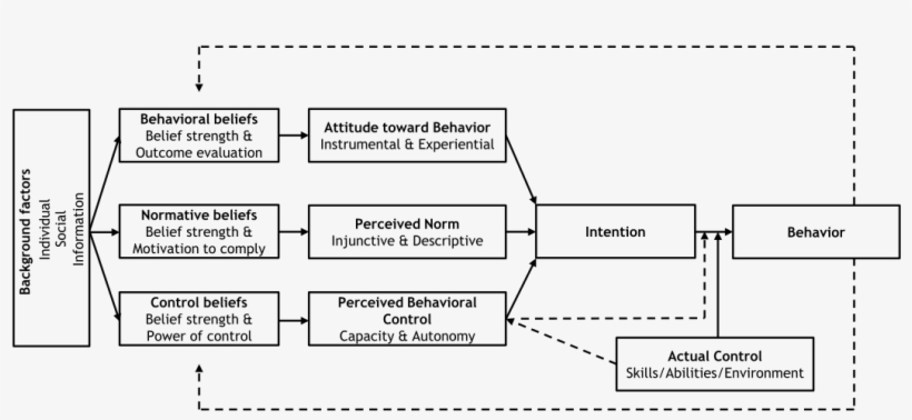 Graphical Representation Of The Reasoned-action Approach - Reasoned Action Approach Model, transparent png download