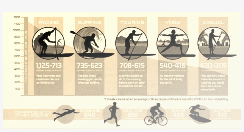Picture - Stand Up Paddling Infographic, transparent png download