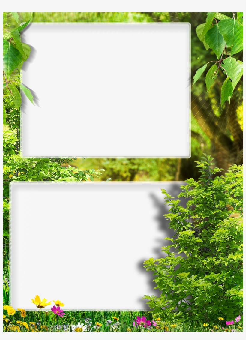 Ribbon Work, Silk Ribbon, Flower Backgrounds, Picture - Quake, transparent png download