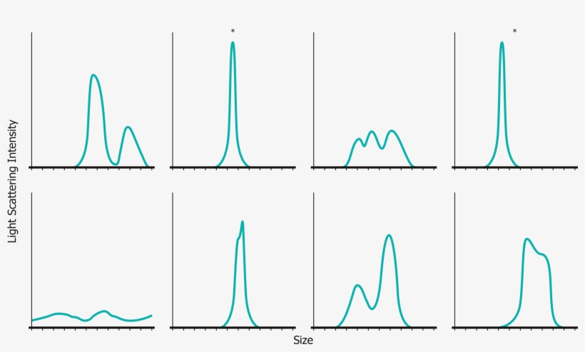 Optimize Formulations For Size - Formulation, transparent png download