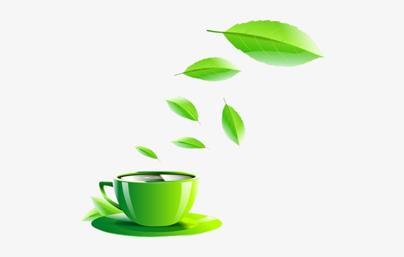 Shop Now - Green Cup Clipart Png, transparent png download