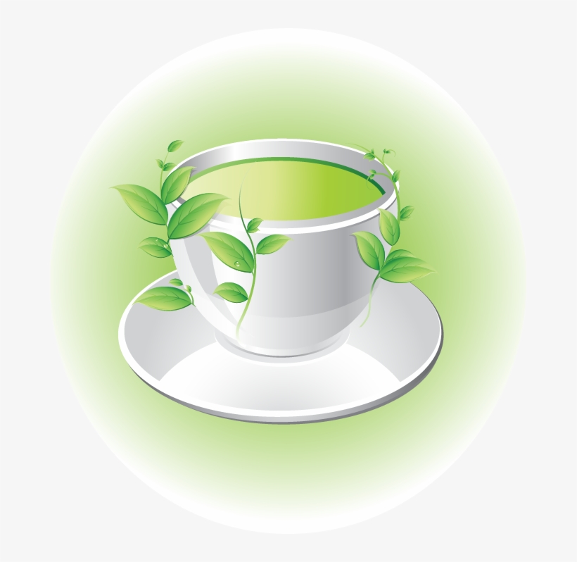 Greentea Green Tea Cup Teacup Cuptea شاي اخضر شاي اخضر - Tea, transparent png download