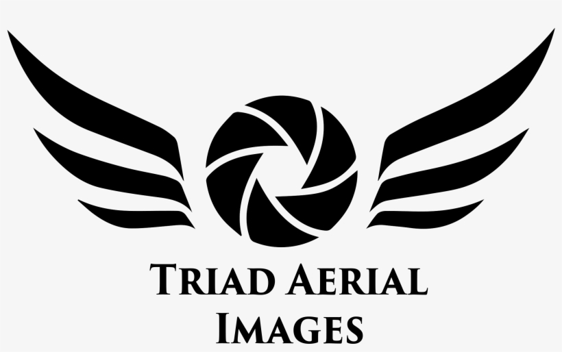 Png Text Photography Vector Transparent - Photography Text Png Logo, transparent png download