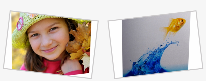 Welcome To Creative Avenues - Goldfish Splash Shower Curtain, transparent png download