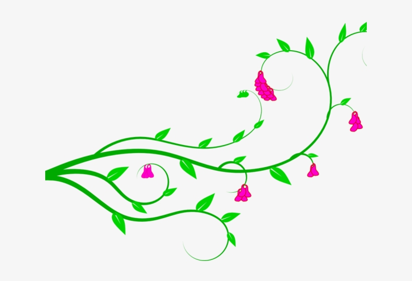 Vine With Flowers Clipart, transparent png download