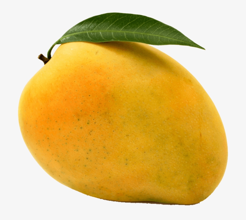 Mango - Mango Banganapalli, transparent png download