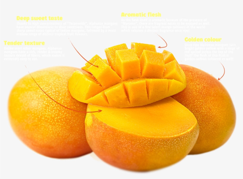 Alphonso Mango Png - Alphonso Mangoes, transparent png download
